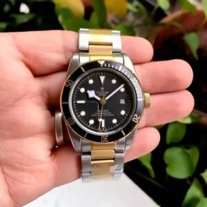 Tudor Black Bay Silver Gold