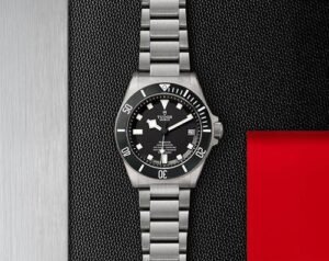 Tudor Pelagos Silver Black