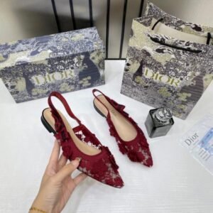 Christian_Dior_JAdior_Slingback_Transparent_Mesh_Red_Dior_Embroidery_Flat_With_OG_Box_Dust_Bag_&_Carry_Bag