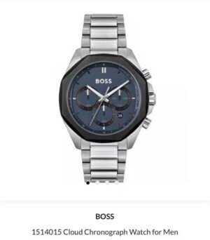 Hugo Boss Cloud Chronograph Silver Blue Authentic Store Quality