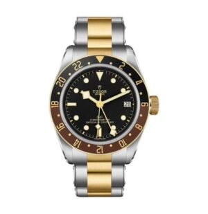 Tudor Black Bay GMT Silver Gold